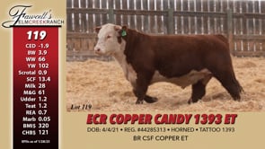 Lot #119 - ECR COPPER CANDY 1393 ET