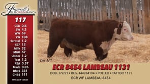 Lot #117 - ECR 8454 LAMBEAU 1131