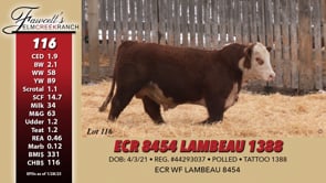 Lot #116 - ECR 8454 LAMBEAU 1388