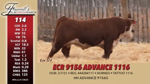 Lot #114 - ECR 9156 ADVANCE 1116