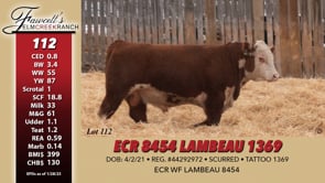 Lot #112 - ECR 8454 LAMBEAU 1369