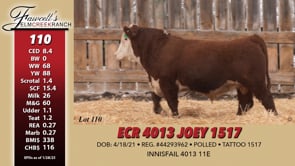 Lot #110 - ECR 4013 JOEY 1517