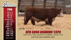 Lot #106 - ECR 5204 DOMINO 1375