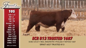 Lot #105 - ECR 813 TRUSTED 1687