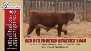 Lot #103 - ECR 813 TRUSTED GENETICS 1644