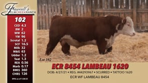 Lot #102 - ECR 8454 LAMBEAU 1620