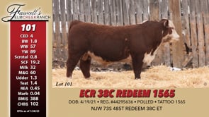 Lot #101 - ECR 38C REDEEM 1565