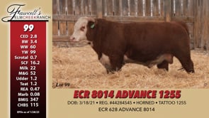 Lot #99 - ECR 8014 ADVANCE 1255