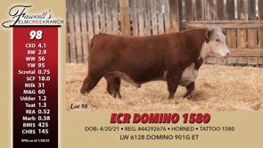 Lot #98 - ECR DOMINO 1580