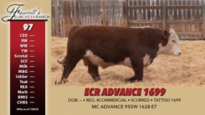 Lot #97 - ECR ADVANCE 1699