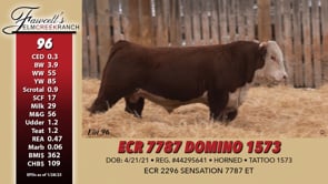 Lot #96 - ECR 7787 DOMINO 1573
