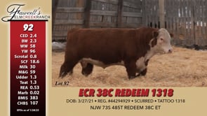 Lot #92 - ECR 38C REDEEM 1318