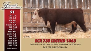 Lot #91 - ECR 738 LEGEND 1463