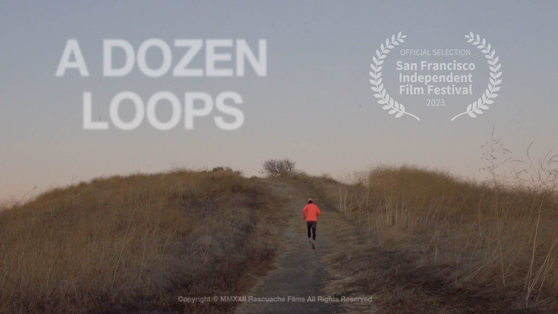 A Dozen Loops