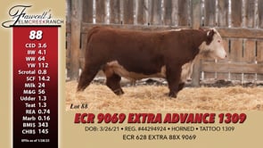 Lot #88 - ECR 9069 EXTRA ADVANCE 1309