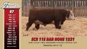 Lot #87 - ECR 11E BAR NONE 1231
