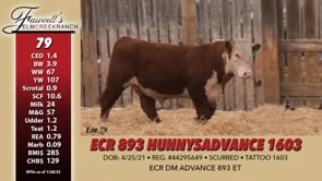 Lot #79 - ECR 893 HUNNYS ADVANCE 1603 ***OUT***