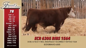 Lot #78 - ECR 6305 RIBS 1564
