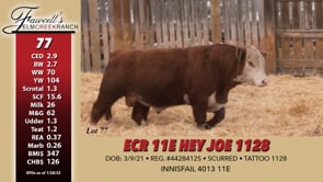 Lot #77 - ECR 11E HEY JOE 1128