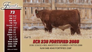 Lot #73 - ECR 238 FORTIFIED 2088
