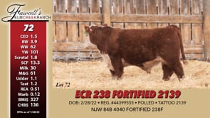 Lot #72 - ECR 238 FORTIFIED 2139
