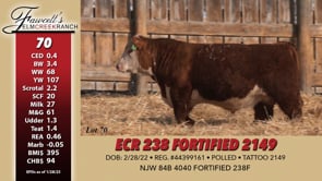 Lot #70 - ECR 238 FORTIFIED 2149