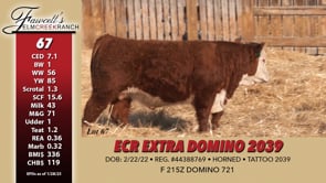 Lot #67 - ECR EXTRA DOMINO 2039