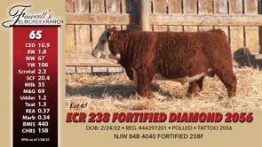 Lot #65 - ECR 238 FORTIFIED DIAMOND 2056