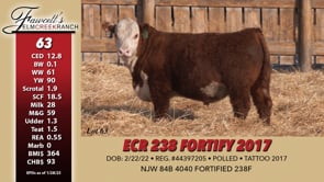 Lot #63 - ECR 238 FORTIFY 2017