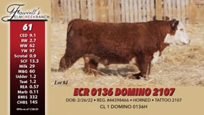 Lot #61 - ECR 0136 DOMINO 2107