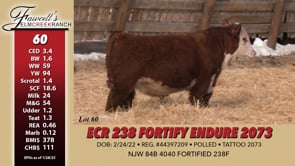 Lot #60 - ECR 238 FORTIFY ENDURE 2073