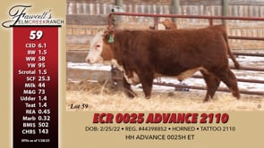 Lot #59 - ECR 0025 ADVANCE 2110