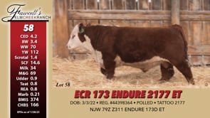 Lot #58 - ECR 173 ENDURE 2177 ET