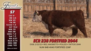 Lot #57 - ECR 238 FORTIFIED 2044