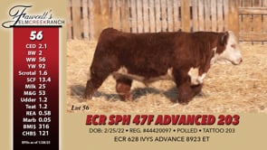 Lot #56 - ECR SPH 47F ADVANCED 203