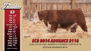 Lot #53 - ECR 8014 ADVANCE 2118
