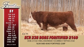 Lot #51 - ECR 238 BOBS FORTIFIED 2160