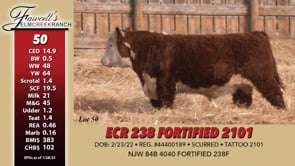 Lot #50 - ECR 238 FORTIFIED 2101