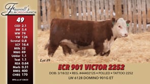 Lot #49 - ECR 901 VICTOR 2252