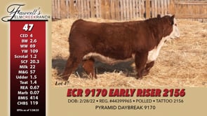 Lot #47 - ECR 9170 EARLY RISER 2156