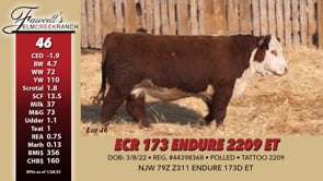 Lot #46 - ECR 173 ENDURE 2209 ET