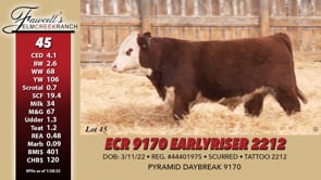 Lot #45 - ECR 9170 EARLY RISER 2212