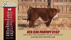 Lot #44 - ECR 238 FORTIFY 2157