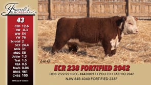 Lot #43 - ECR 238 FORTIFIED 2042