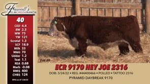 Lot #40 - EXR 9170 HEY JOE 2316