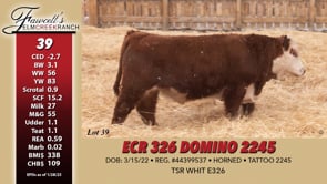 Lot #39 - ECR 326 DOMINO 2245