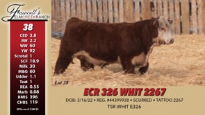 Lot #38 - ECR WHIT 2267