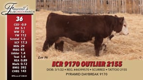 Lot #36 - ECR 9170 OUTLIER 2155