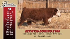 Lot #34 - ECR 0136 DOMINO 2106