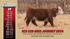 Lot #29 - ECR 53D MISS JOURNEY 2076